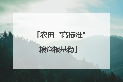 农田“高标准” 粮仓根基稳