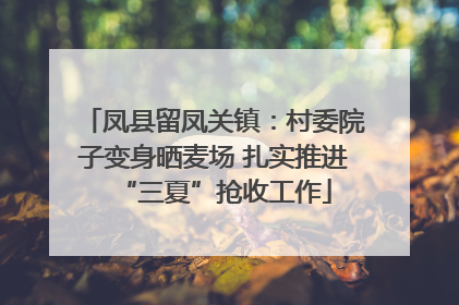 凤县留凤关镇：村委院子变身晒麦场 扎实推进“三夏”抢收工作