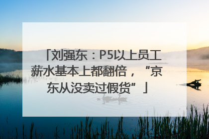 刘强东：P5以上员工薪水基本上都翻倍，“京东从没卖过假货”