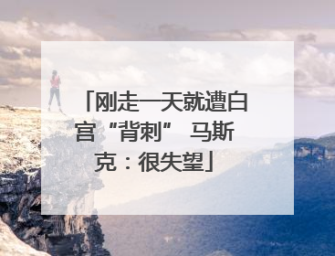 刚走一天就遭白宫“背刺” 马斯克：很失望