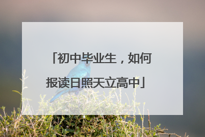 初中毕业生，如何报读日照天立高中