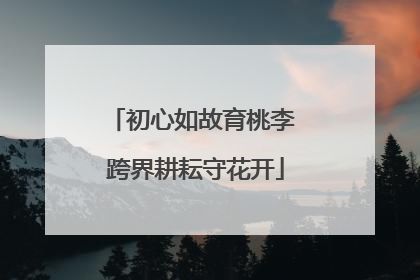 初心如故育桃李 跨界耕耘守花开
