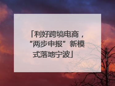 利好跨境电商，“两步申报”新模式落地宁波