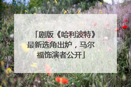 剧版《哈利波特》最新选角出炉，马尔福饰演者公开