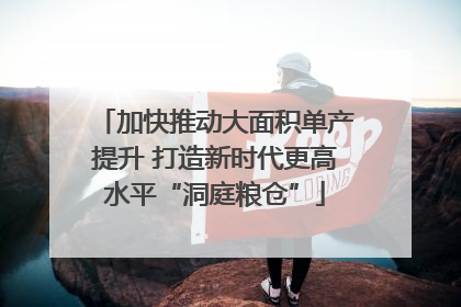 加快推动大面积单产提升 打造新时代更高水平“洞庭粮仓”