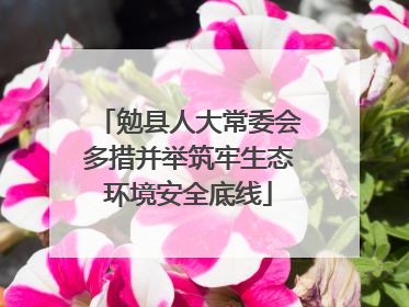勉县人大常委会多措并举筑牢生态环境安全底线