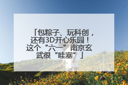 包粽子、玩科创，还有3D开心乐园！这个“六一”南京玄武很“哇塞”