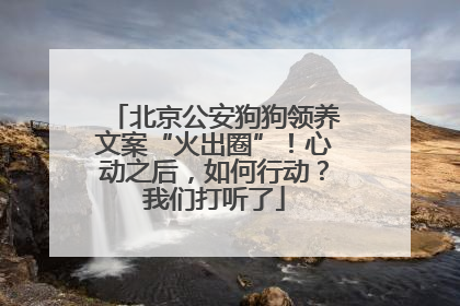 北京公安狗狗领养文案“火出圈”！心动之后，如何行动？我们打听了