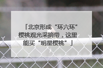 北京形成“环六环”樱桃观光采摘带，这里能买“明星樱桃”