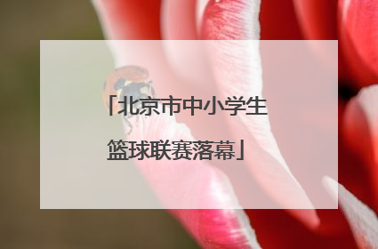 北京市中小学生篮球联赛落幕