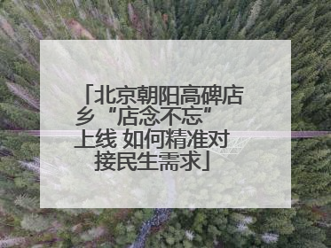 北京朝阳高碑店乡“店念不忘” 上线 如何精准对接民生需求