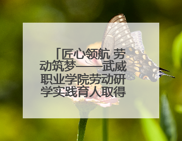 匠心领航 劳动筑梦——武威职业学院劳动研学实践育人取得新成果