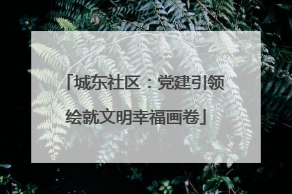 城东社区：党建引领绘就文明幸福画卷