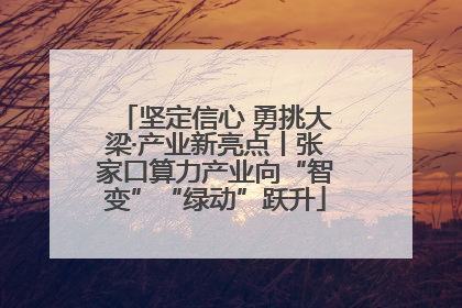 坚定信心 勇挑大梁·产业新亮点丨张家口算力产业向“智变”“绿动”跃升