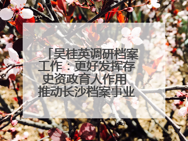 吴桂英调研档案工作：更好发挥存史资政育人作用 推动长沙档案事业高质量发展