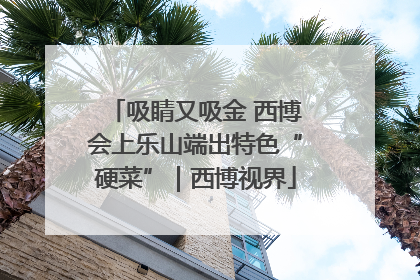 吸睛又吸金 西博会上乐山端出特色“硬菜”｜西博视界
