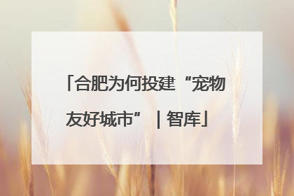 合肥为何投建“宠物友好城市”｜智库