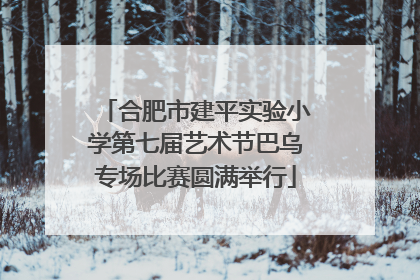 合肥市建平实验小学第七届艺术节巴乌专场比赛圆满举行