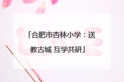 合肥市杏林小学：送教古城 互学共研