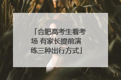 合肥高考生看考场 有家长提前演练三种出行方式