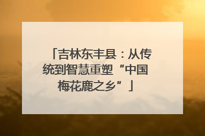 吉林东丰县：从传统到智慧重塑“中国梅花鹿之乡”