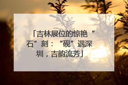 吉林展位的惊艳“石”刻：“砚”遇深圳，吉韵流芳