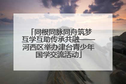 同根同脉同舟筑梦 互学互助传承共融——河西区举办津台青少年国学交流活动