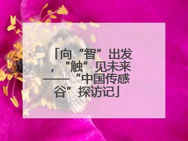 向“智”出发，“触”见未来——“中国传感谷”探访记