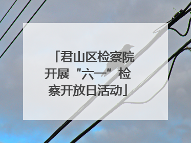 君山区检察院开展“六一”检察开放日活动