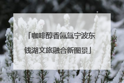 咖啡醇香氤氲宁波东钱湖文旅融合新图景