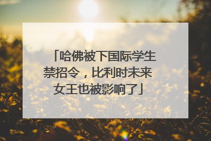 哈佛被下国际学生禁招令，比利时未来女王也被影响了