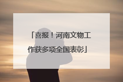 喜报！河南文物工作获多项全国表彰
