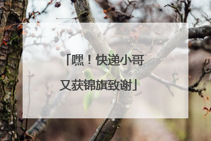嘿！快递小哥又获锦旗致谢