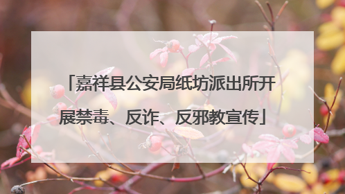 嘉祥县公安局纸坊派出所开展禁毒、反诈、反邪教宣传