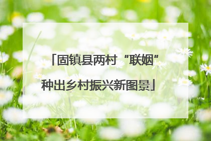 固镇县两村“联姻”种出乡村振兴新图景