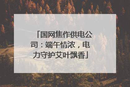 国网焦作供电公司：端午情浓，电力守护艾叶飘香