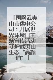 国网武夷山市供电公司：开展世界环境日主题宣传活动守护武夷山生态“高颜值”