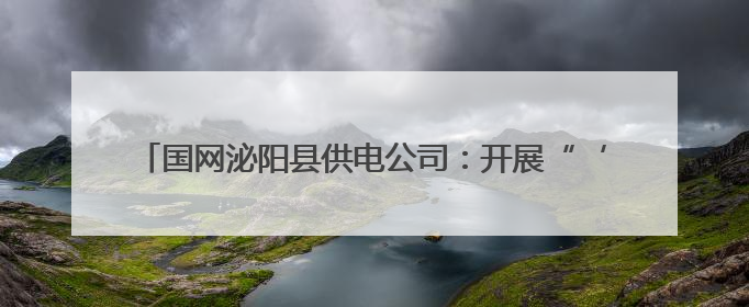 国网泌阳县供电公司：开展“‘粽’享清风 •廉洁端午”活动