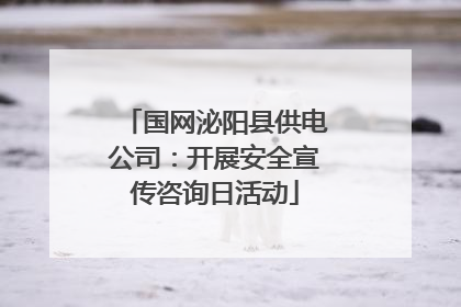 国网泌阳县供电公司：开展安全宣传咨询日活动