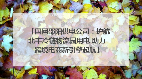 国网邵阳供电公司：护航北丰冷链物流园用电 助力跨境电商新引擎起航