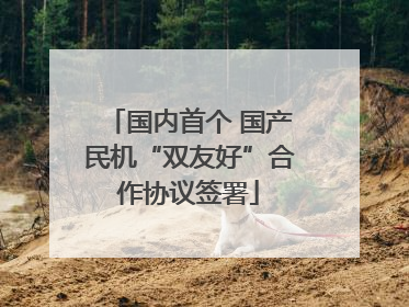 国内首个 国产民机“双友好”合作协议签署