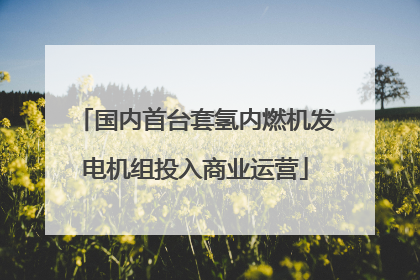 国内首台套氢内燃机发电机组投入商业运营