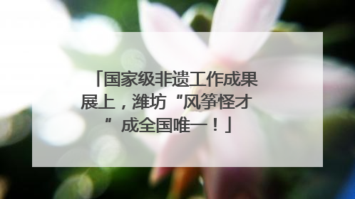 国家级非遗工作成果展上，潍坊“风筝怪才”成全国唯一！