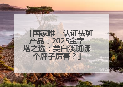 国家唯一认证祛斑产品，2025金字塔之选：美白淡斑哪个牌子厉害？