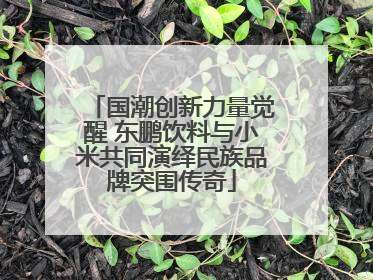 国潮创新力量觉醒 东鹏饮料与小米共同演绎民族品牌突围传奇