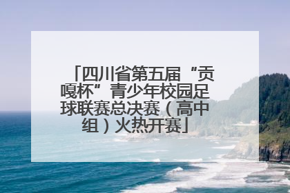 四川省第五届“贡嘎杯”青少年校园足球联赛总决赛（高中组）火热开赛