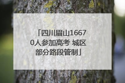 四川眉山16670人参加高考 城区部分路段管制