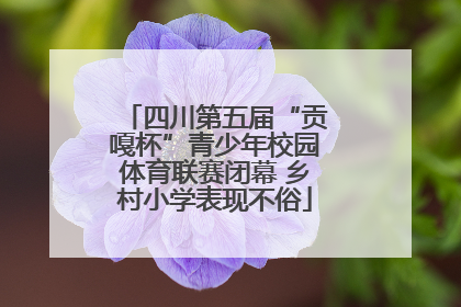 四川第五届“贡嘎杯”青少年校园体育联赛闭幕 乡村小学表现不俗