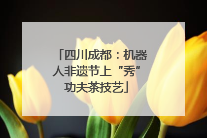 四川成都：机器人非遗节上“秀”功夫茶技艺