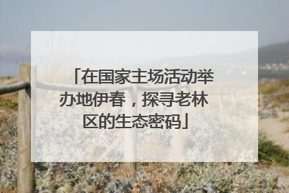 在国家主场活动举办地伊春，探寻老林区的生态密码